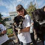 Выставка «Надо Брать! Осенью!»