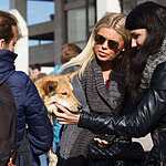 Выставка «Надо Брать! Осенью!»