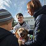 Выставка «Надо Брать! Осенью!»