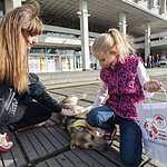 Выставка «Надо Брать! Осенью!»