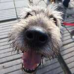 Выставка «Надо Брать! Осенью!»