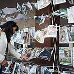 Выставка бездомных животных - Надо Брать! Летом!