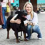 Выставка бездомных животных - Надо Брать! Летом!