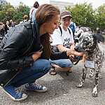 Выставка бездомных животных - Надо Брать! Летом!