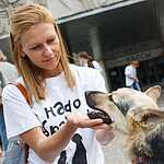 Выставка бездомных животных - Надо Брать! Летом!