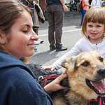 Выставка бездомных животных - Надо Брать! Летом!