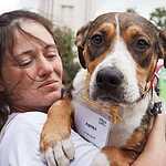 Выставка бездомных животных - Надо Брать! Летом!