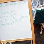 Выставка бездомных животных - Надо Брать! Летом!