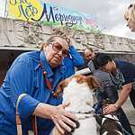 Выставка бездомных животных - Надо Брать! Летом!