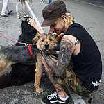 Выставка бездомных животных - Надо Брать! Летом!