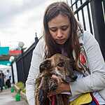 Выставка бездомных животных - Надо Брать! Летом!