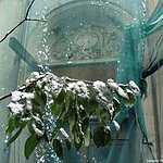 Палаты князя Пожарского