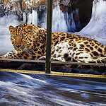 «Полосатый экспресс» начал курсировать на Люблинско-Дмитровской линии