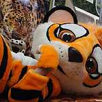 «Полосатый экспресс» начал курсировать на Люблинско-Дмитровской линии