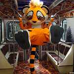 «Полосатый экспресс» начал курсировать на Люблинско-Дмитровской линии