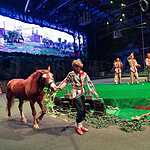 Хозяйка Мёртвого озера