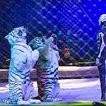 Хозяйка Мёртвого озера