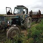 Урожай арбузов