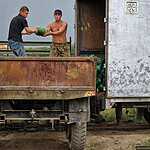 Урожай арбузов