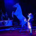 В Цирке Никулина начался «Карнавал»