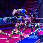 В Цирке Никулина начался «Карнавал»