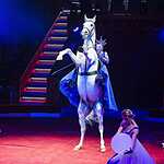 В Цирке Никулина начался «Карнавал»