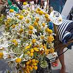 ВелоПарад Кинодив ХХ века прошел в Сокольниках