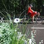 ВелоПарад Кинодив ХХ века прошел в Сокольниках