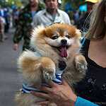 ВДВ отмечает 85-ю годовщину образования войск специального назначения