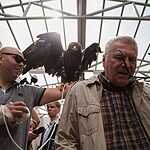 Жириновский показал ферму