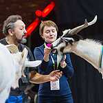 Журналисты в цирке