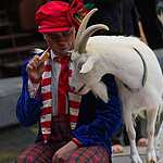 Журналисты в цирке