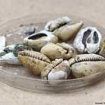 Археологи нашли клад в Зарядье