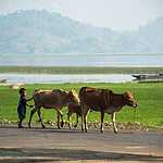 Даклак, Вьетнам