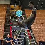 Большой Московский цирк пригласил маленьких подопечных фонда «Даунсайд Ап» на репетицию 