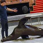 Большой Московский цирк пригласил маленьких подопечных фонда «Даунсайд Ап» на репетицию 