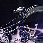 Цирк на Проспекте Вернадского