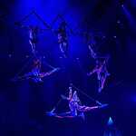 Цирк на Проспекте Вернадского