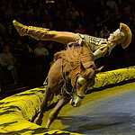 Цирк на Проспекте Вернадского