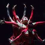 Цирк на Проспекте Вернадского