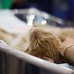 Кэтсбург-2016