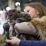 Кэтсбург-2016