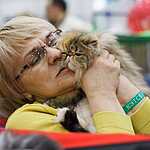 Кэтсбург-2016