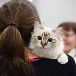 Кэтсбург-2016