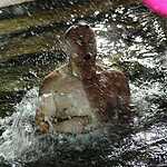 Крещенские купания на Спортивной набережной Владивостока