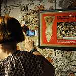 Москву занесли в Красную книгу