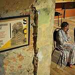 Москву занесли в Красную книгу