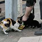 На паровозе - в историю российских железных дорог