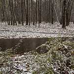 Костюмированный забег в Кузьминках