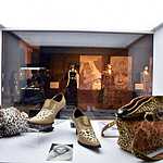 Новые выставки на ВДНХ